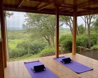 Yoga and Meditation Retreat